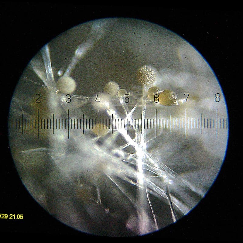 Filtro de Aire Hengst E660L
